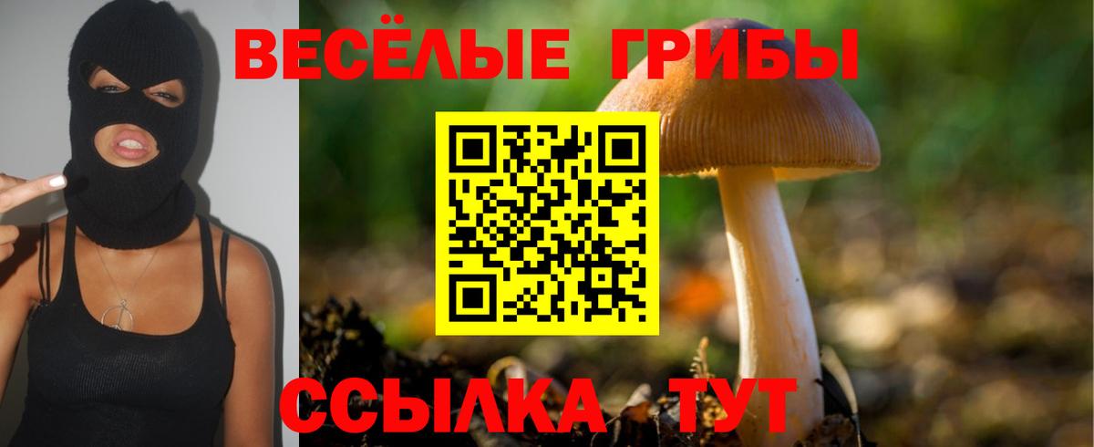 Сухой Лог  Галлюциногенные грибы Psilocybine cubensis  Вход с VPN  Галлюциногенные грибы прущие грибы 